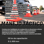 MANEJO TÁCTICO